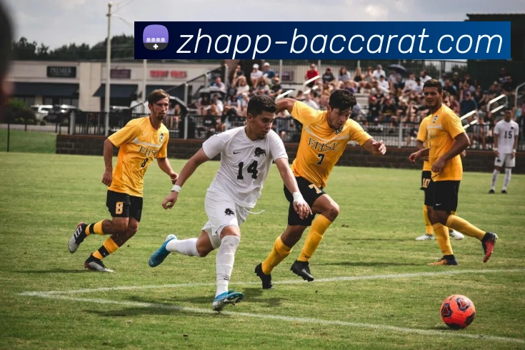 多媒体互动体验